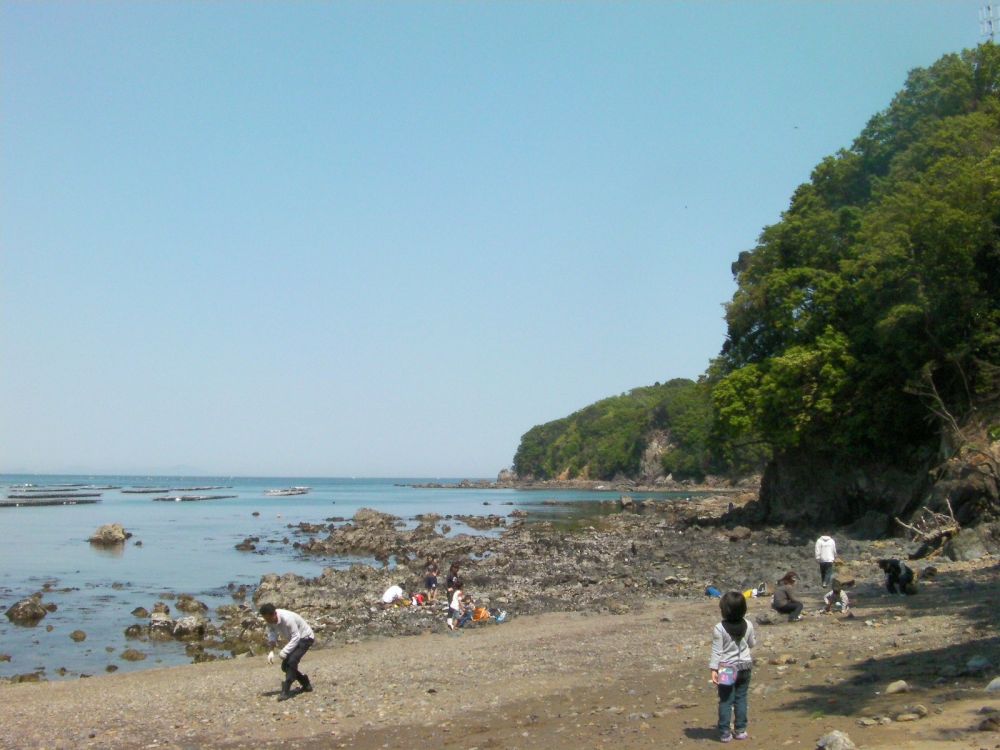 鳥羽竜の化石が出たところ